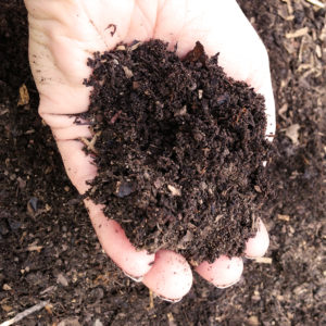A Letter of Gratitude to the Soil