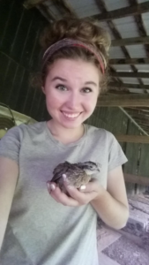 Amanda with a quail chick 