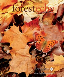 Fall 2015 edition of Bernheim's quarterly newsletter, the forest echo