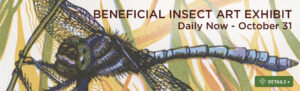 Beneficial Insects exhibition by Joanne Price on display at Visitor Center
