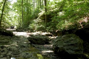 Reflections on a Rock Run Creek Journey