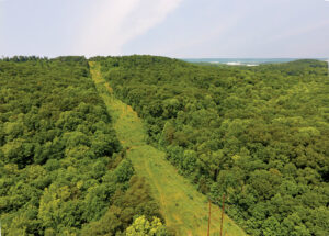 Defending Our Land: Bernheim Forest Threatened by Pipeline and Interstate Bypass