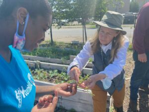 Exploring Wild Edible Plants with Urban Conservation Corps
