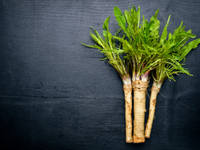 Edible Garden Featured Plant: Horseradish