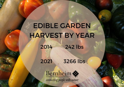 Edible Garden Blog: Happy New Year!