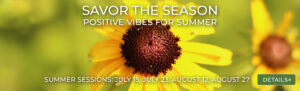 Savor the Season: Positive Vibes for Summer