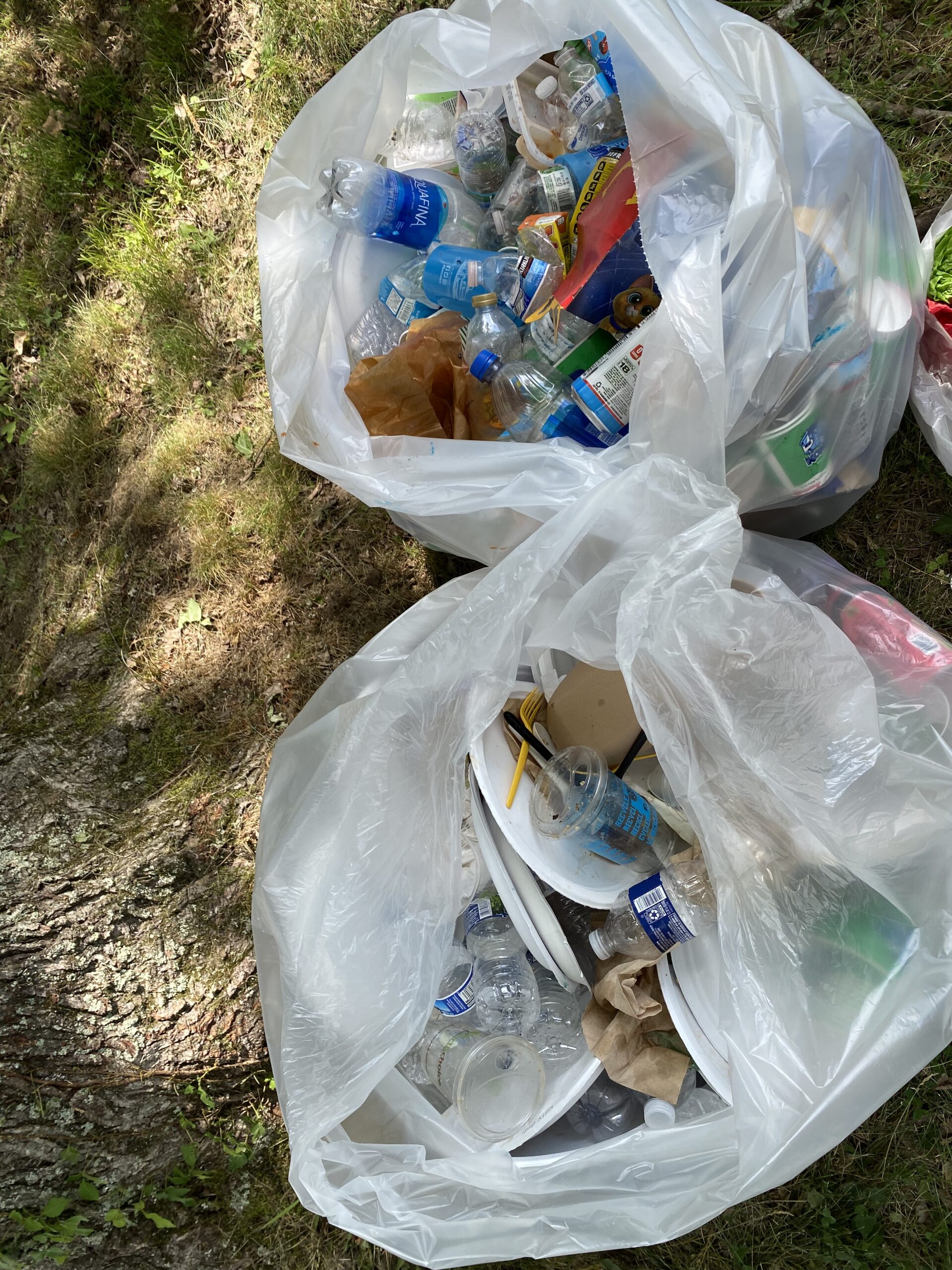 https://bernheim.org/wp-content/uploads/2022/06/recovered-recyclables-from-trash-scaled.jpg