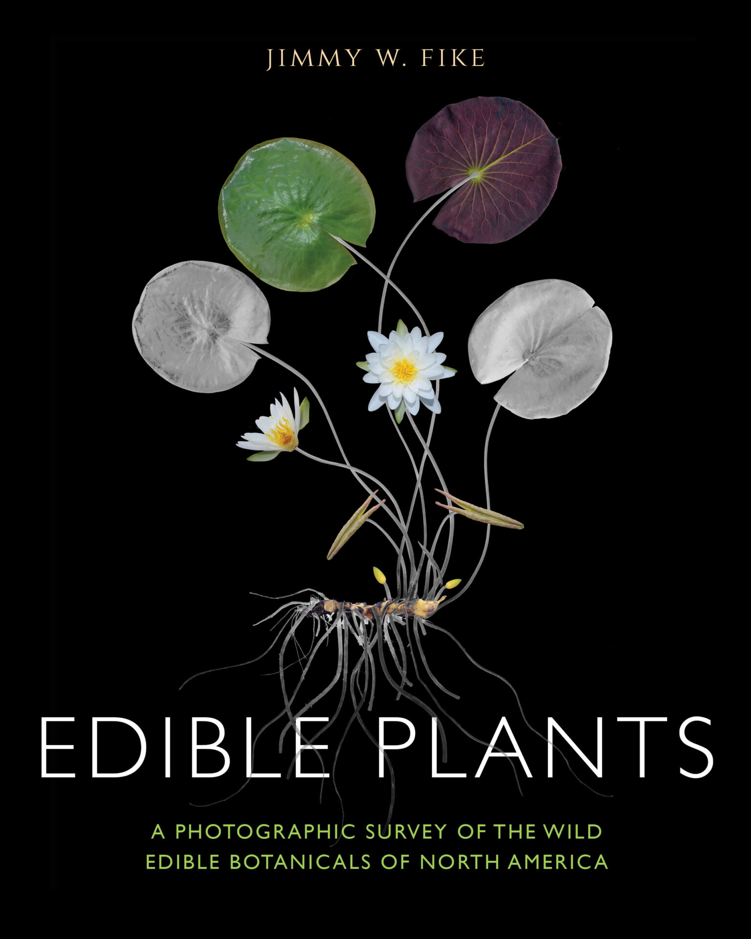 Edible Plants by Jim Fike on sale now  in the Visitor Center