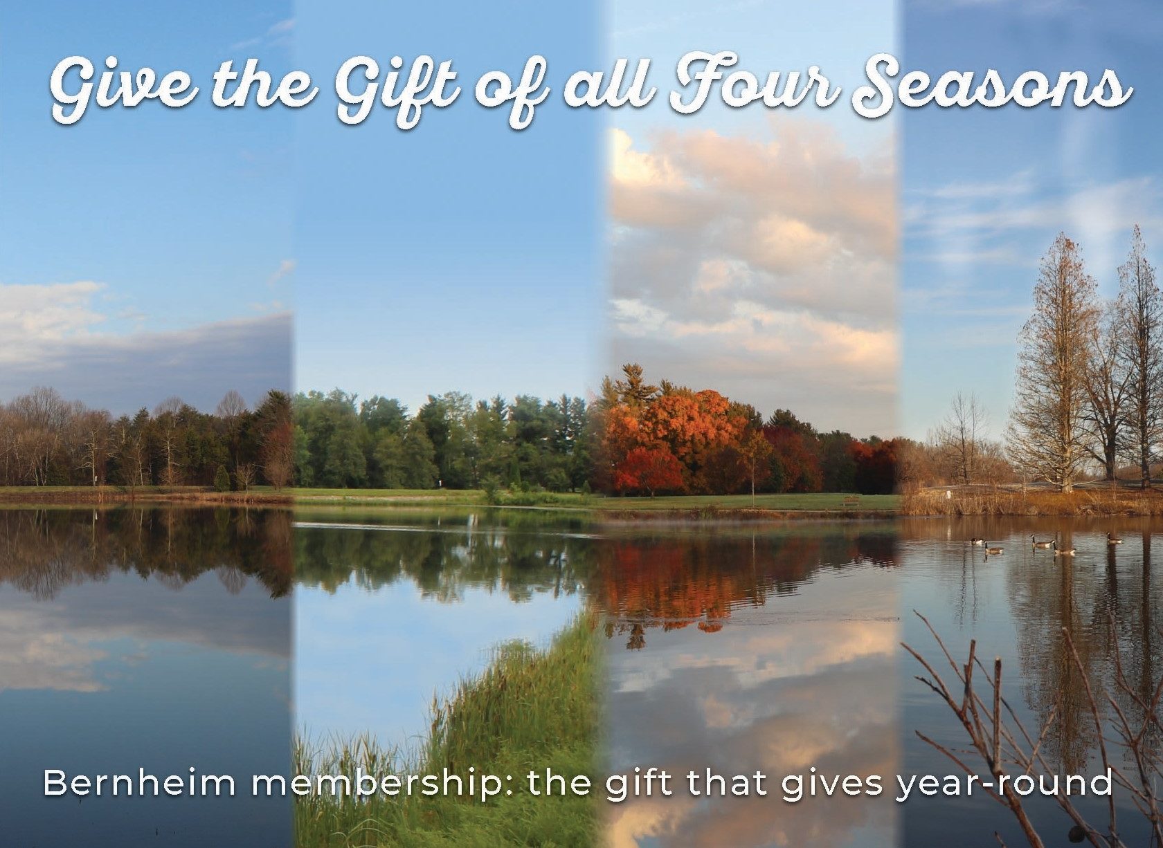 Give the Gift of All Four Seasons