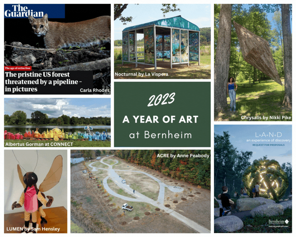 2023 - A Year of Arts in Nature Accomplishments